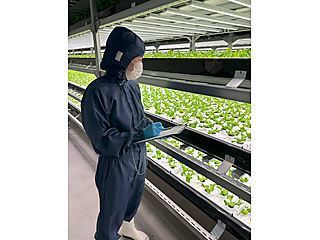 ブロックファーム合同会社