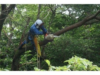 株式会社 伏見電工
