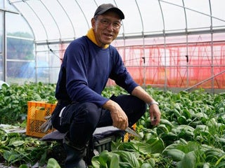 株式会社真大和