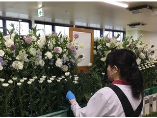 パルモグループ パルモDC株式会社 豊橋DC