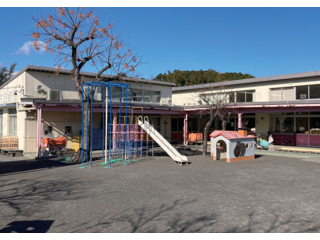 タップ株式会社