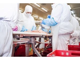 UTエージェント株式会社 一宮オフィス 《JTYN1C》