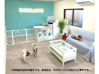 ワンルーク 東京赤坂店